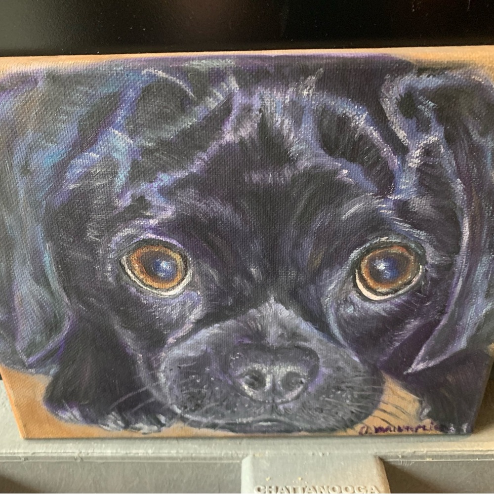 Black Dog Canvas Art